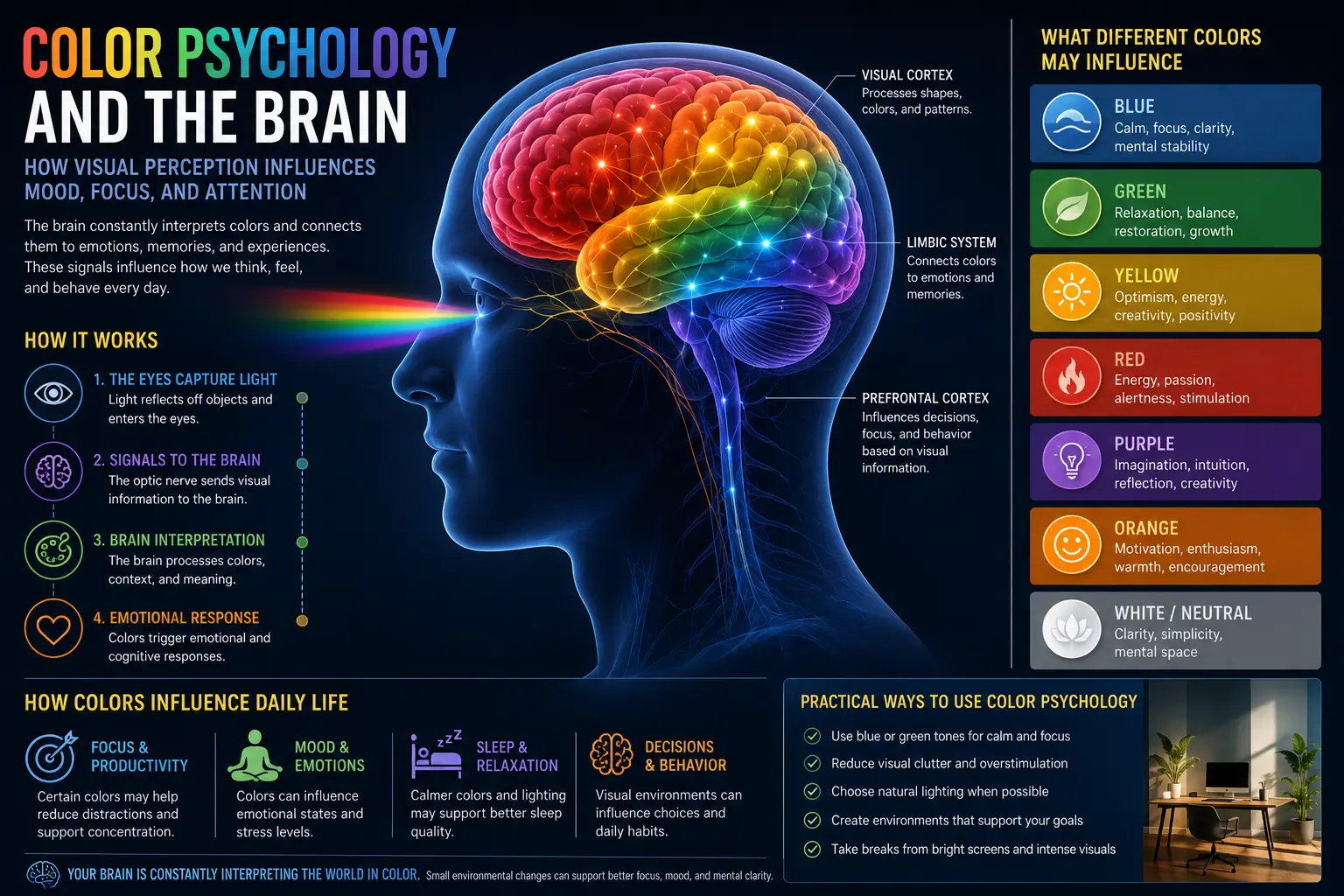 Color Psychology and the Brain: How Visual Perception Influences Mood, Focus, and Attention