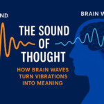The Sound of Thought: How Brain Waves Turn Vibrations into Meaning