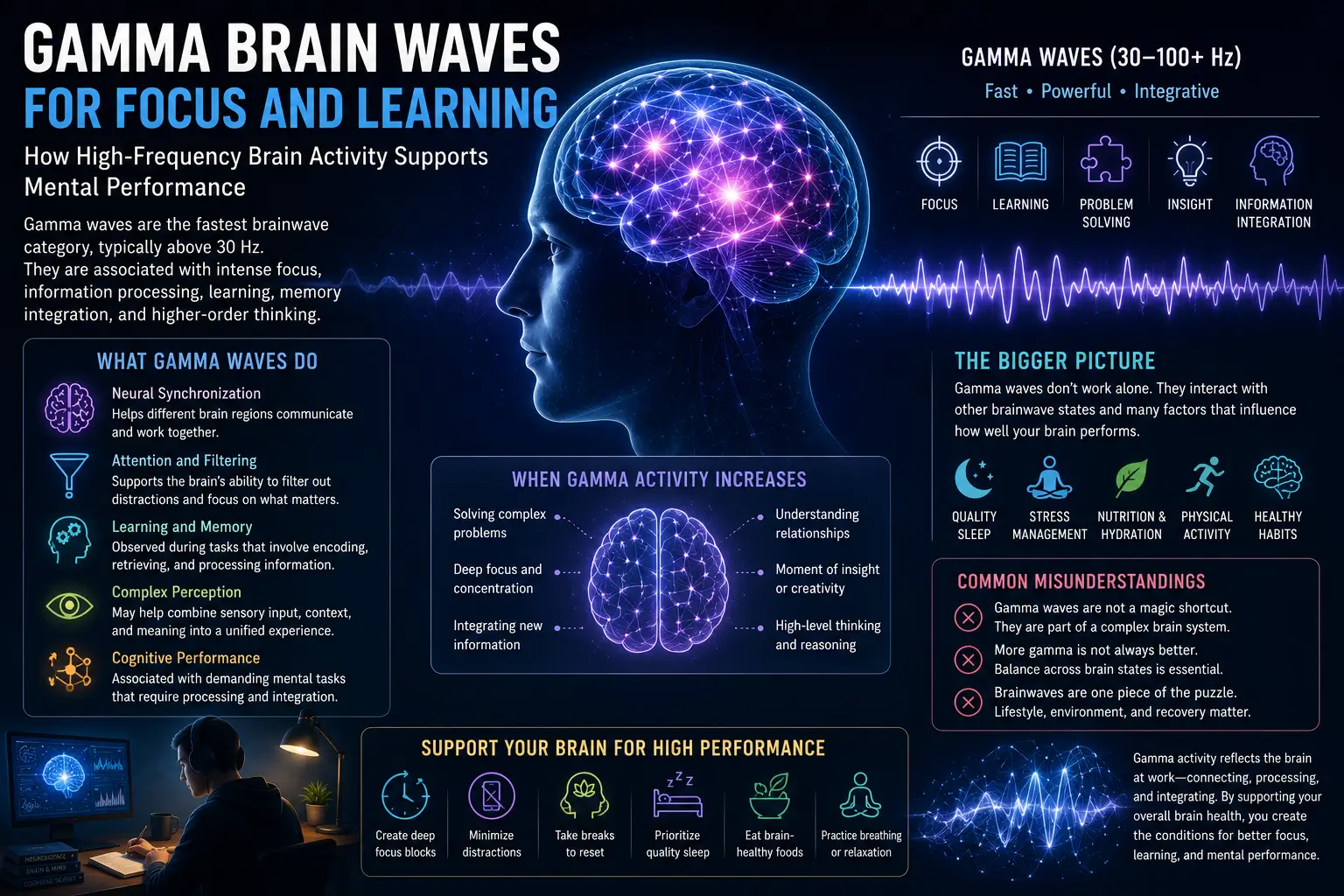 Gamma brain waves illustration showing high-frequency neural activity associated with focus, learning, attention, information processing, and cognitive performance.