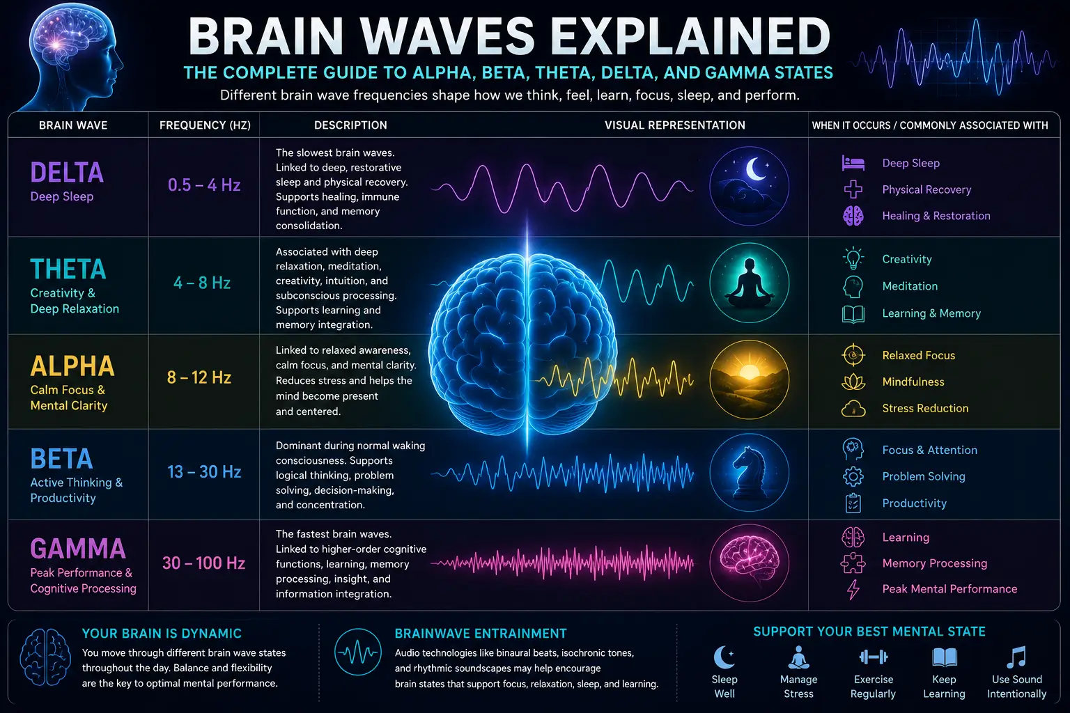Brain waves explained guide showing Alpha, Beta, Theta, Delta, and Gamma brain wave frequencies associated with focus, sleep, learning, meditation, and cognitive performance.